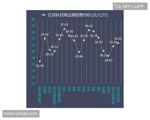 技术统计:维尼修斯近5场表现一览 技术统计:维尼修斯近5场表现一览