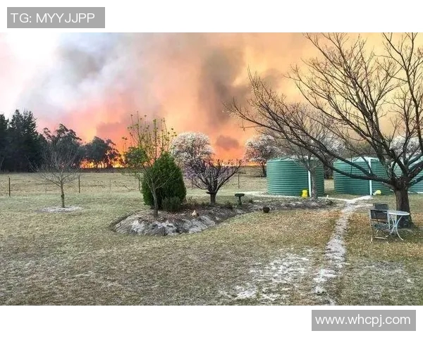镜头回顾：勇士这一幕令人泪目