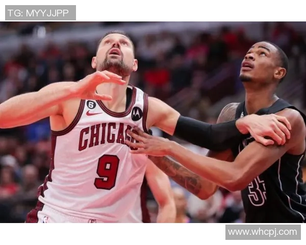 数据揭示：公牛本赛季表现起伏不定